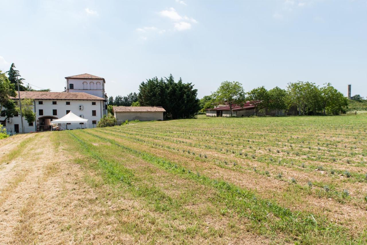 Agriturismo Colombare Teboi Lazise Buitenkant foto