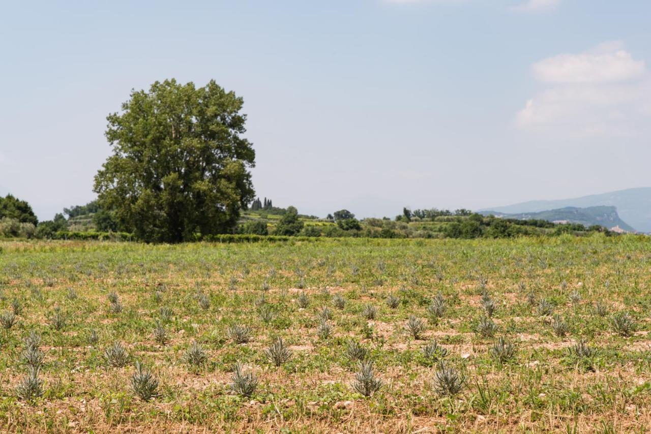 Agriturismo Colombare Teboi Lazise Buitenkant foto