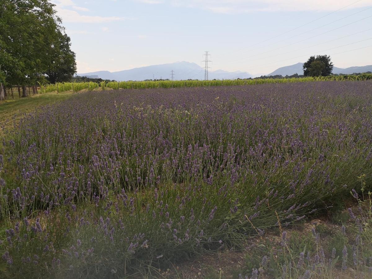 Agriturismo Colombare Teboi Lazise Buitenkant foto