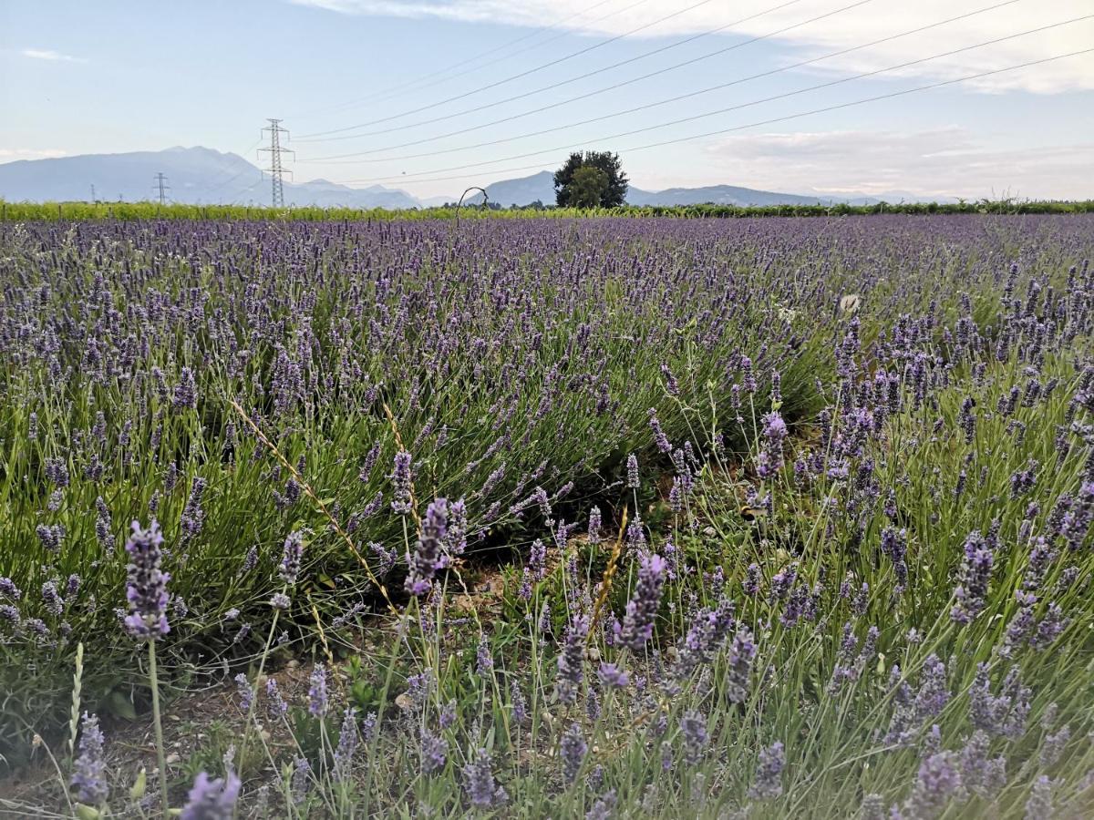 Agriturismo Colombare Teboi Lazise Buitenkant foto